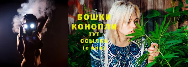 марки lsd Гусиноозёрск