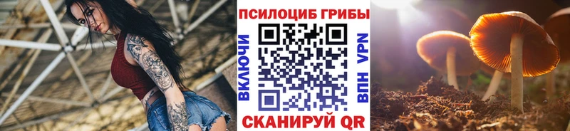 Псилоцибиновые грибы Magic Shrooms  Купить закладки  Учалы 